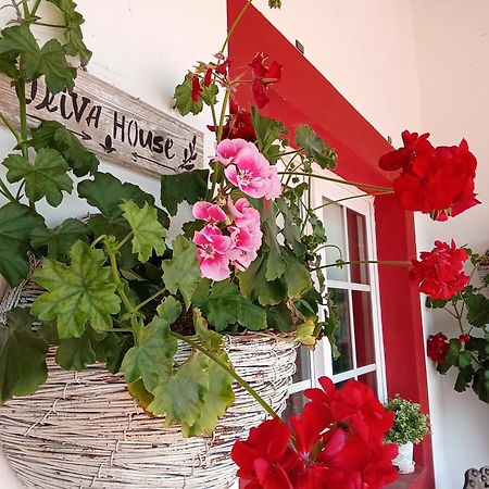 Quinta Da Mainha - Charming Houses Braga Luaran gambar