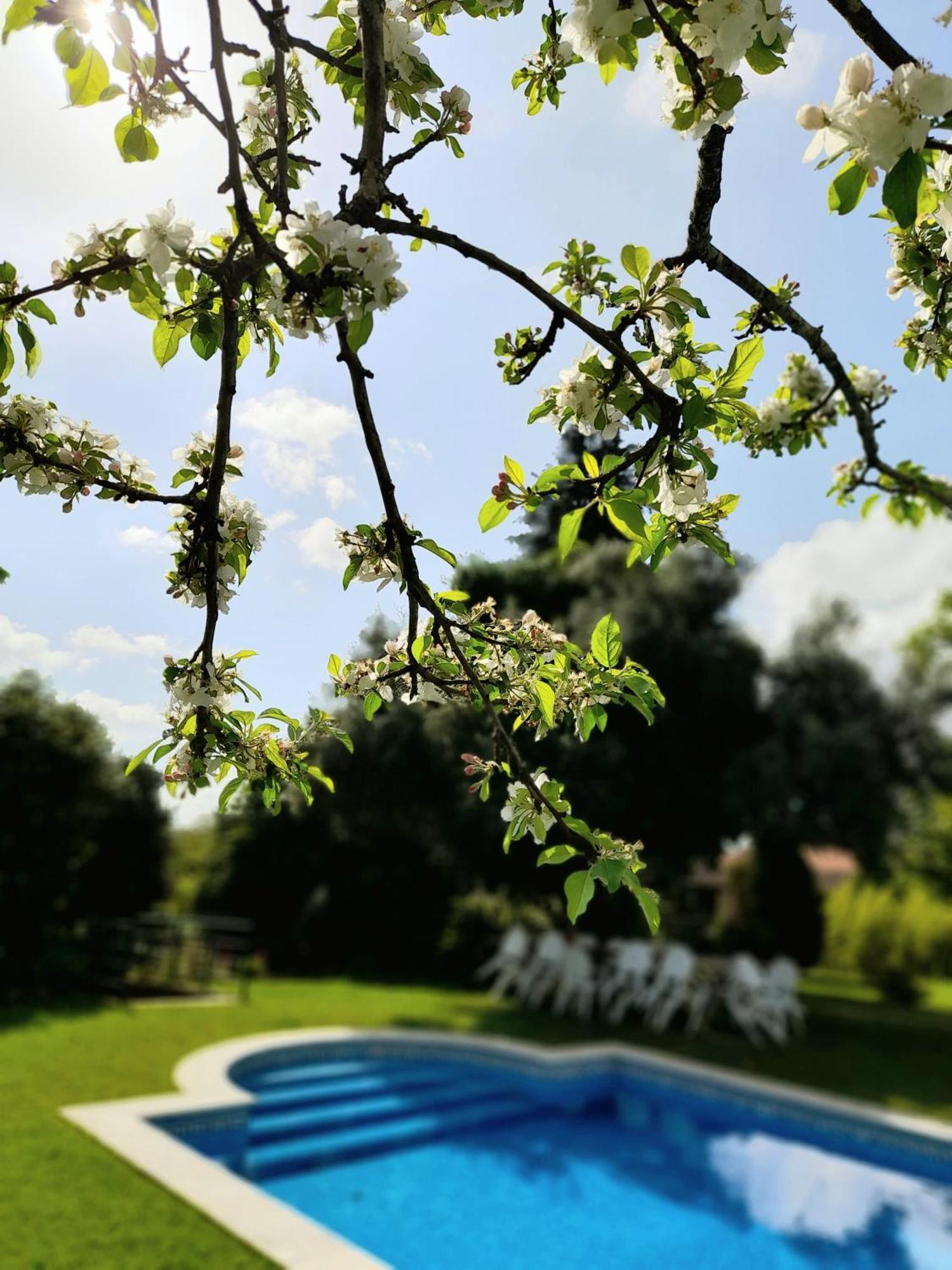 Quinta Da Mainha - Charming Houses Braga Luaran gambar