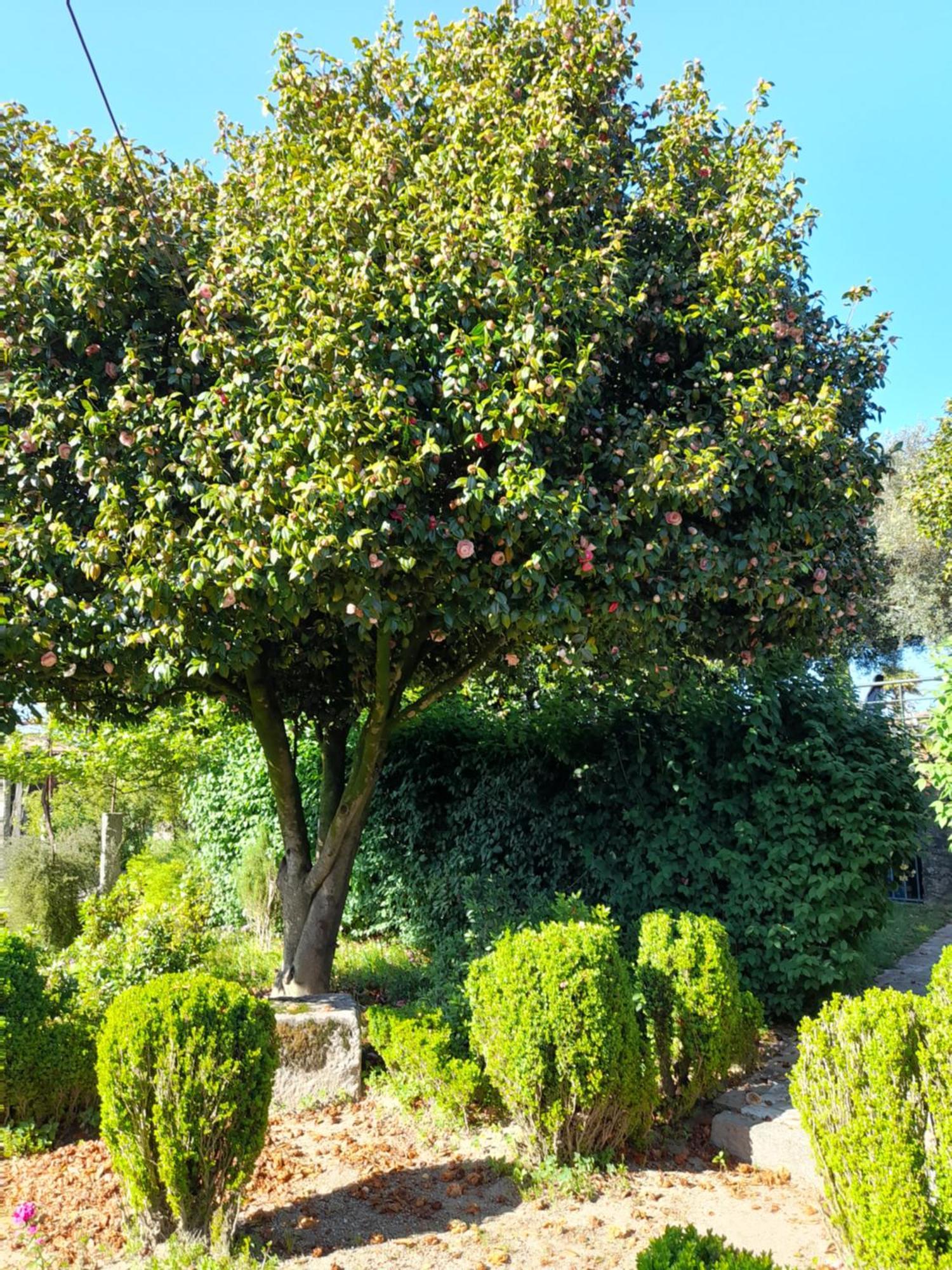 Quinta Da Mainha - Charming Houses Braga Luaran gambar