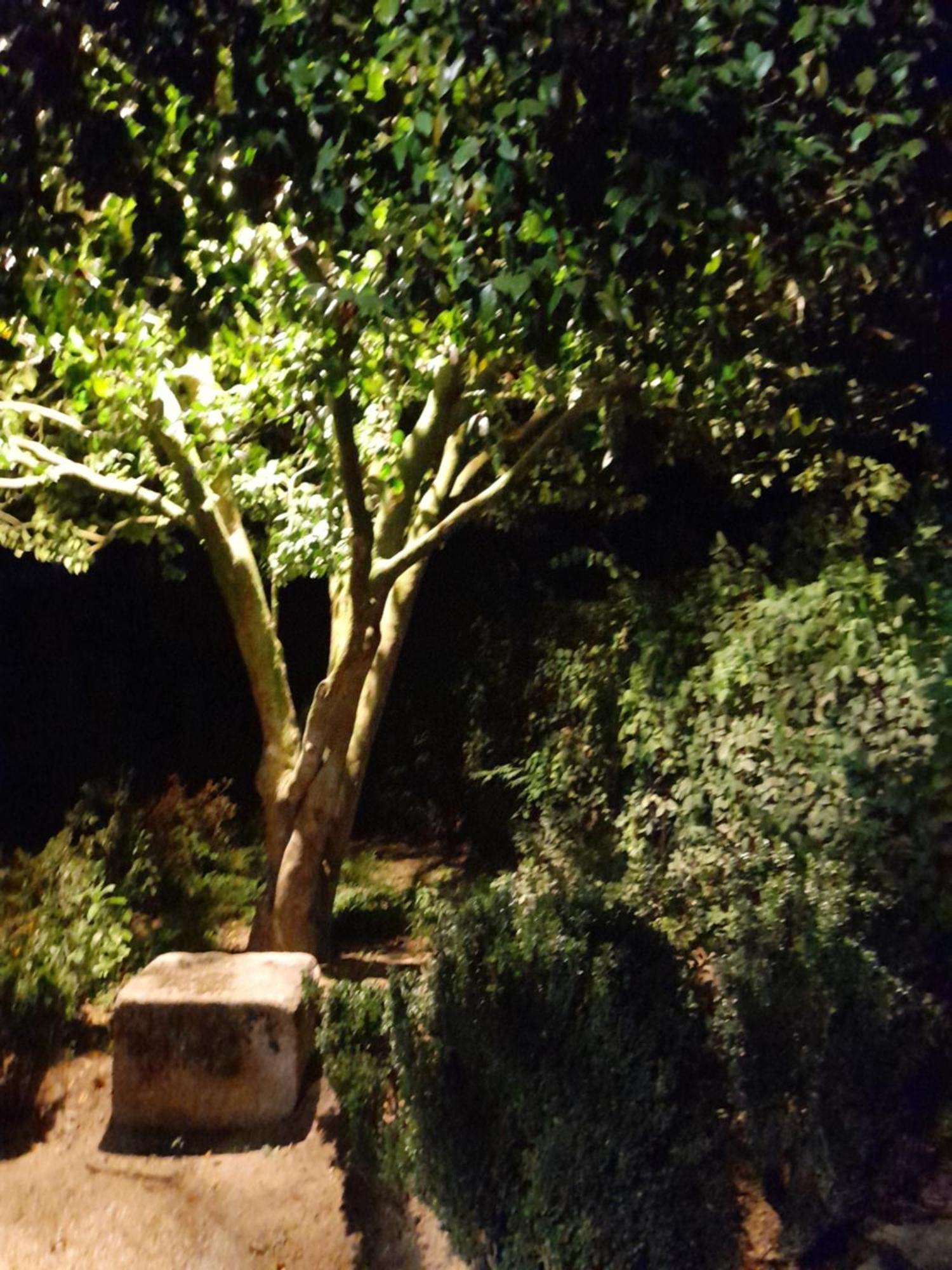 Quinta Da Mainha - Charming Houses Braga Luaran gambar