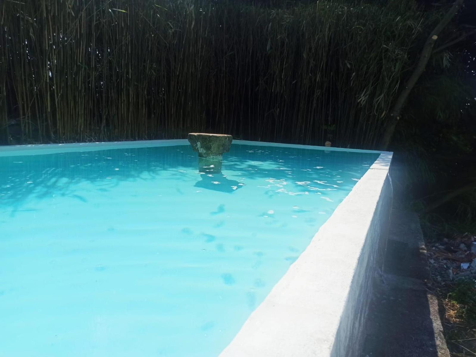 Quinta Da Mainha - Charming Houses Braga Luaran gambar