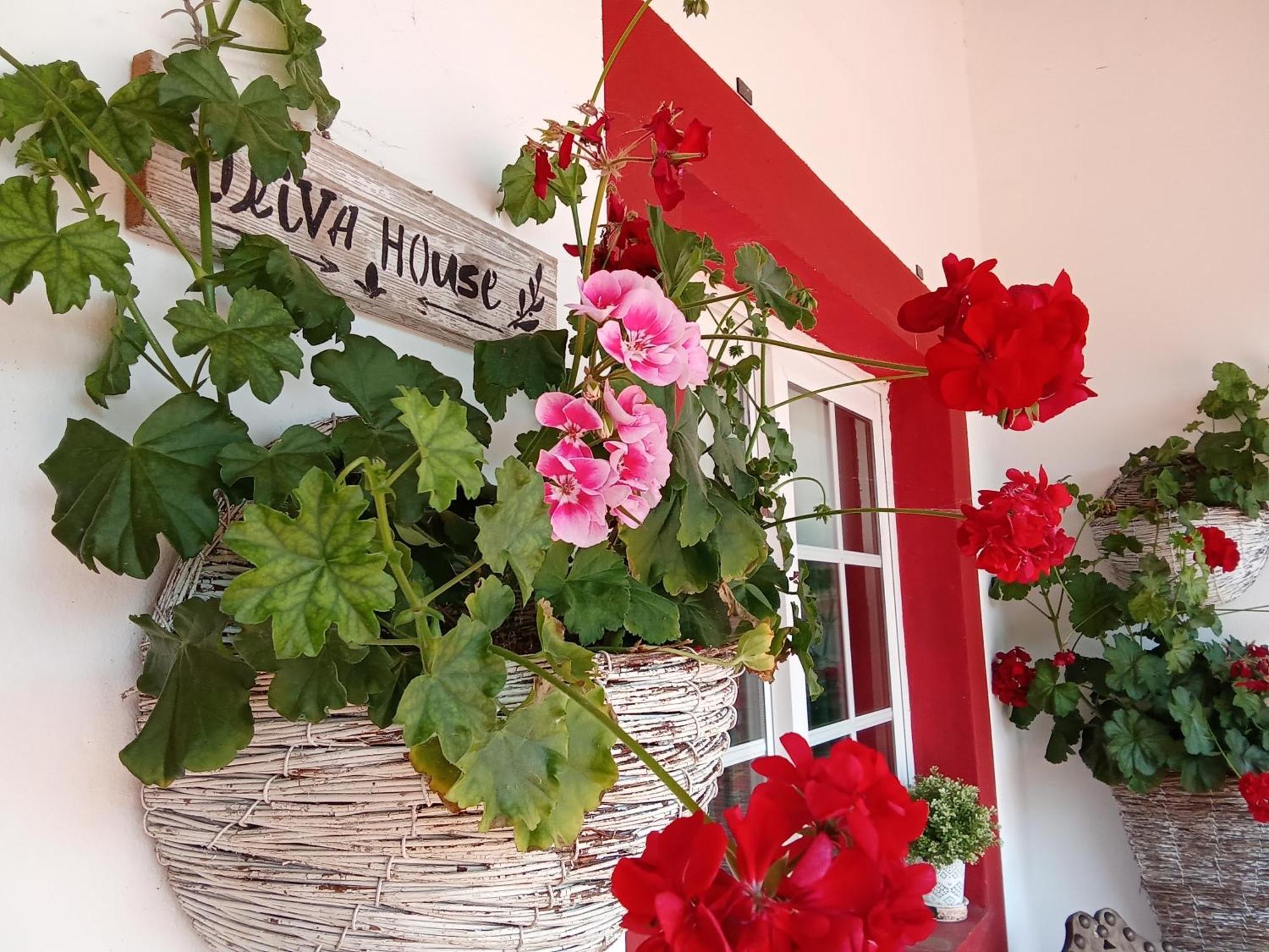 Quinta Da Mainha - Charming Houses Braga Luaran gambar